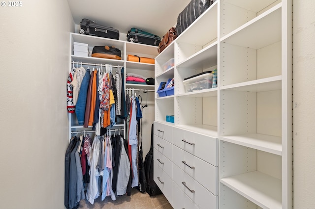 walk in closet featuring carpet floors