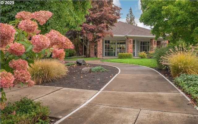 exterior space with brick siding, a front yard, and roof with shingles