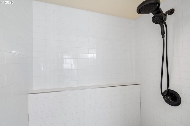 interior details with tiled shower