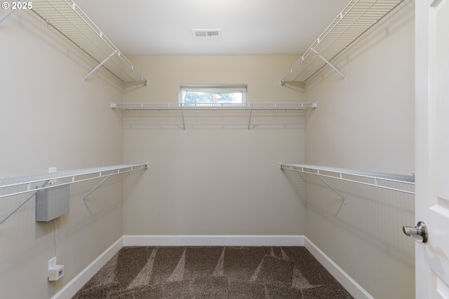 walk in closet with carpet