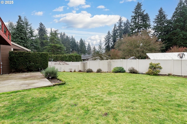 view of yard featuring a patio area