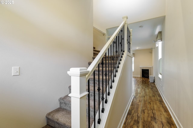 staircase featuring wood-type flooring