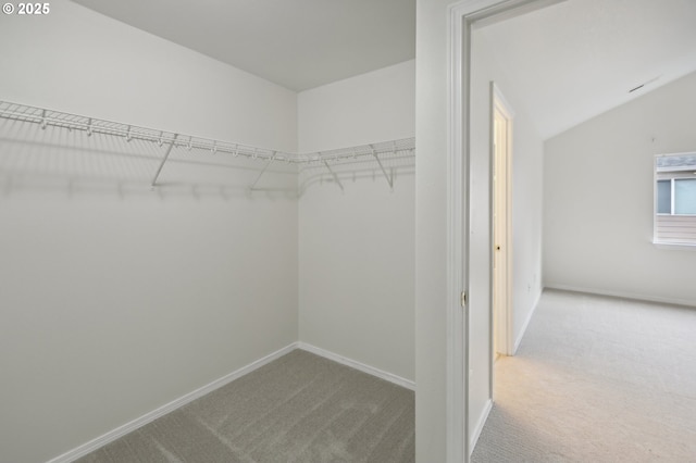 walk in closet featuring lofted ceiling and carpet flooring