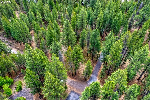 16811 Covina Rd, Bend, OR 97707 - aerial overview of property's location