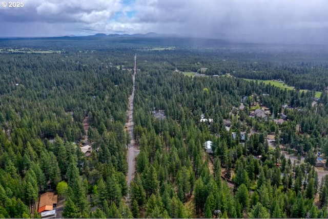 16811 Covina Rd, Bend, OR 97707 - view of property location with a heavily wooded area and a mountain backdrop