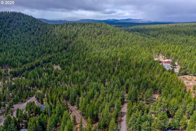 16811 Covina Rd, Bend, OR 97707 - aerial view of a mountain backdrop