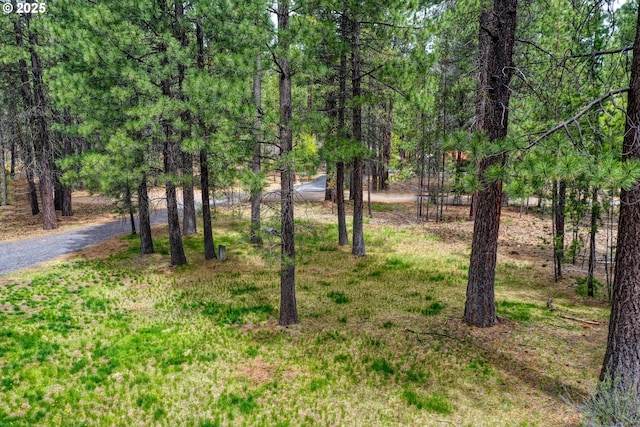 16811 Covina Rd, Bend, OR 97707 - view of yard