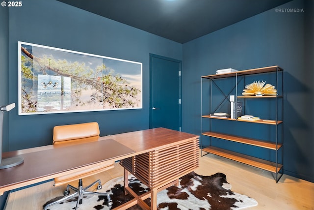office featuring wood finished floors