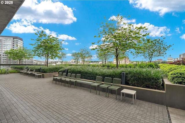 view of community with a patio area