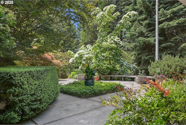 6151 SW Mill St, Portland, OR 97221 - view of property's community