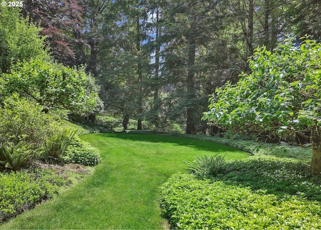 6151 SW Mill St, Portland, OR 97221 - view of green lawn with a forest view