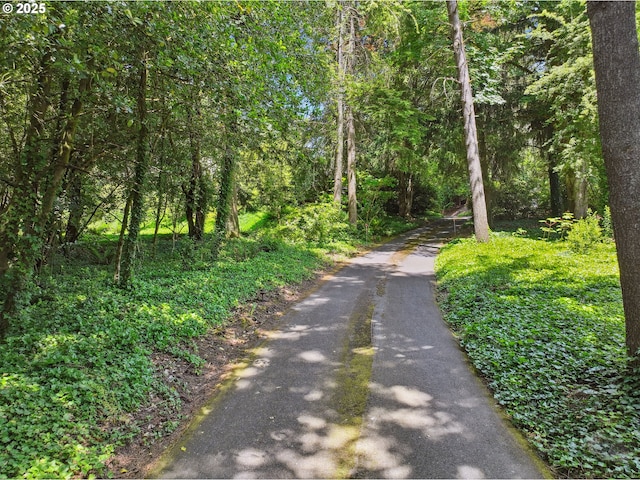 6151 SW Mill St, Portland, OR 97221 - view of road with a view of trees