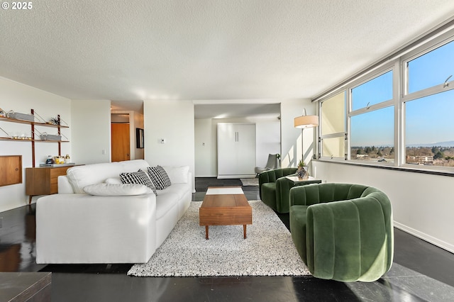 living room featuring baseboards and a textured ceiling