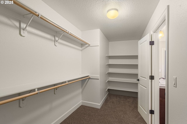 spacious closet with dark carpet