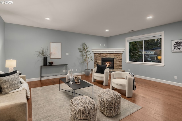 living room featuring wood-type flooring and a fireplace