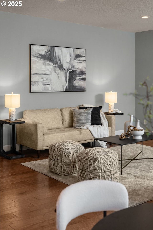 living room featuring wood-type flooring