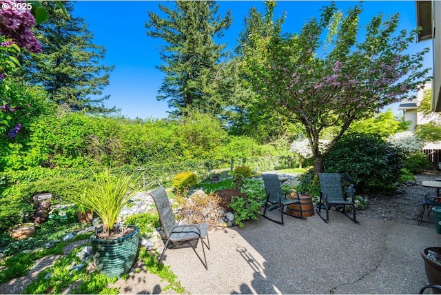 808 SE Beaver Creek Ln, Troutdale, OR 97060 - view of patio