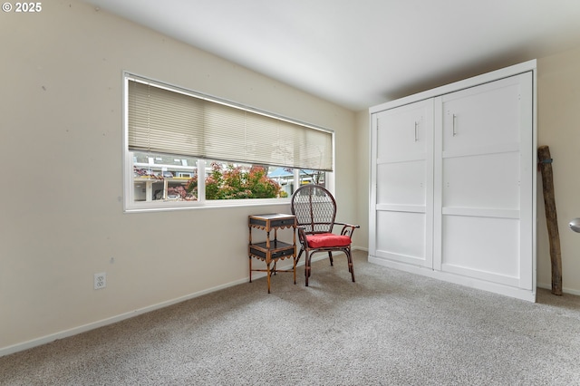 sitting room with baseboards and carpet