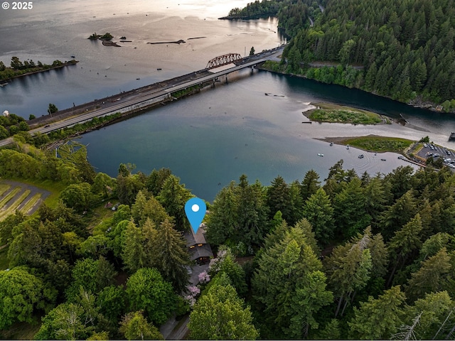 142 Lyons Rd, Stevenson, WA 98648 - view of property location featuring a nearby body of water, a heavily wooded area, and a notable bridge