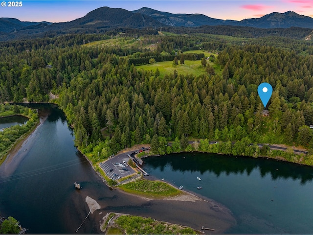 142 Lyons Rd, Stevenson, WA 98648 - aerial overview of property's location featuring a heavily wooded area and a water and mountain view