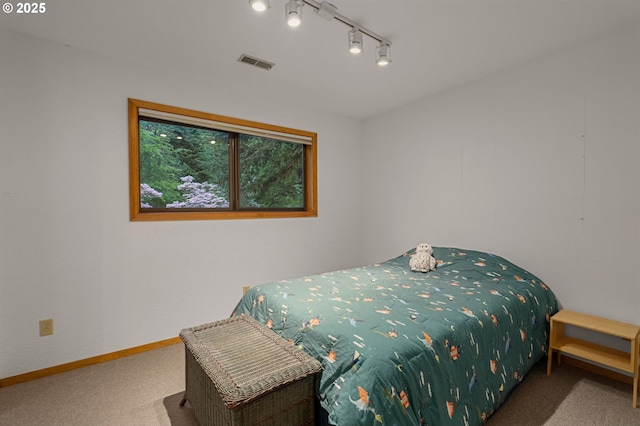 142 Lyons Rd, Stevenson, WA 98648 - carpeted bedroom with baseboards and track lighting