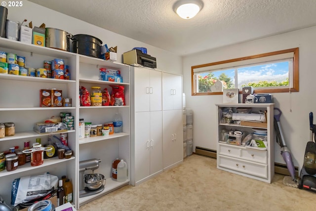 772 Elochoman Valley Rd, Cathlamet, WA 98612 - pantry featuring a baseboard heating unit