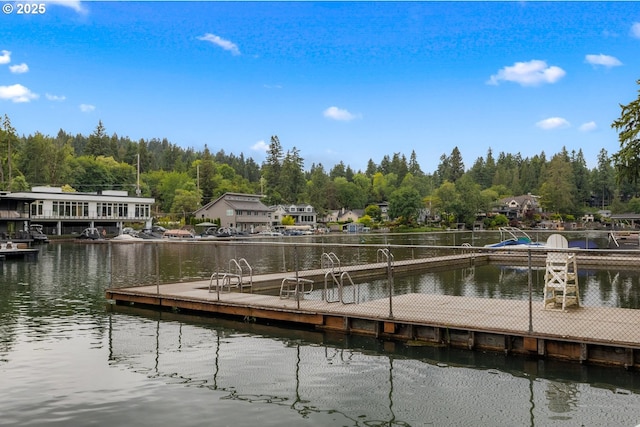 dock area with a water view