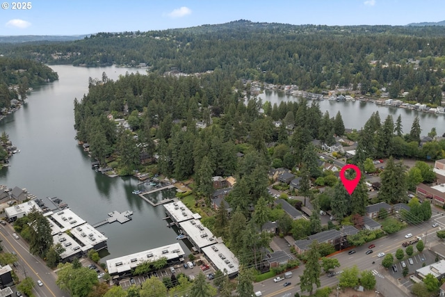 154 Ridgeway Rd, Lake Oswego, OR 97034 - aerial view of a forest and a nearby body of water