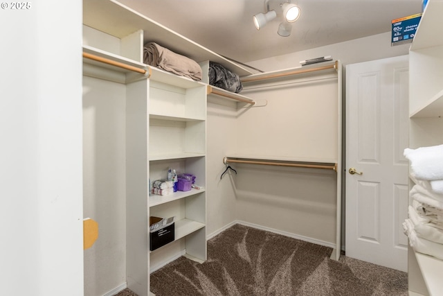 spacious closet with dark carpet