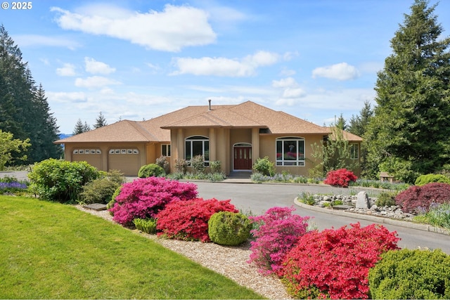 ranch-style house featuring a garage, driveway, a front lawn, and stucco siding