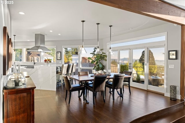 dining room with french doors, sink, dark wood-type flooring, and a wealth of natural light