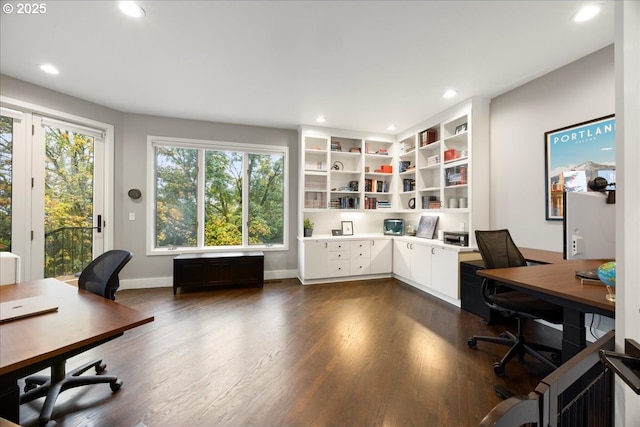 office featuring dark hardwood / wood-style floors