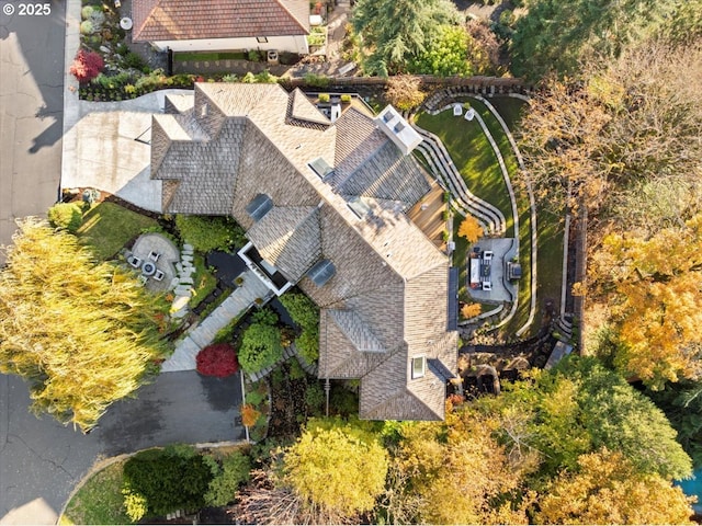 bird's eye view
