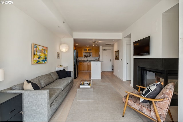 living room featuring a glass covered fireplace and light wood-type flooring