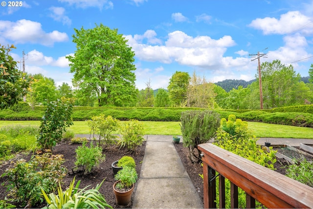 6708 N Richmond Ave, Portland, OR 97203 - view of yard featuring a vegetable garden