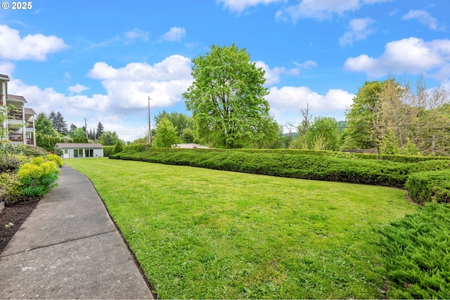 6708 N Richmond Ave, Portland, OR 97203 - view of yard