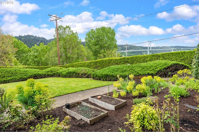 6708 N Richmond Ave, Portland, OR 97203 - view of home's community with a garden and a yard