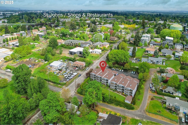 6708 N Richmond Ave, Portland, OR 97203 - drone / aerial view