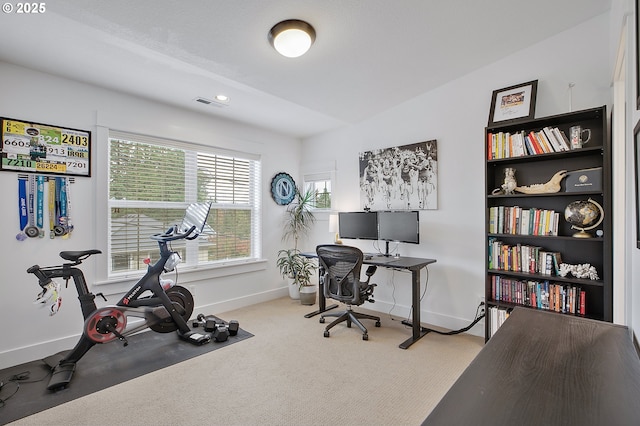 home office with carpet floors