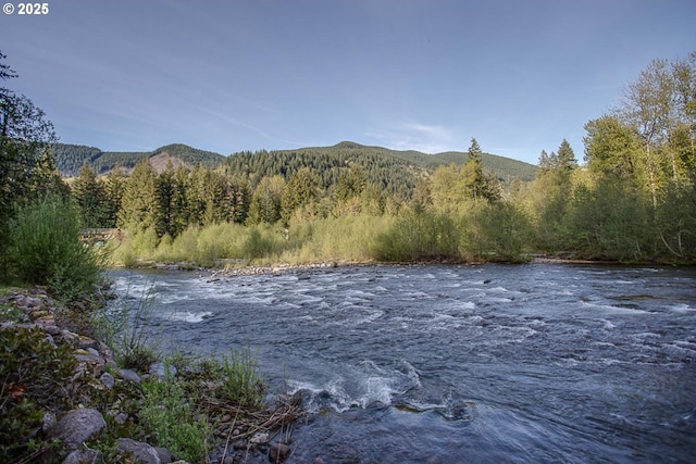 22260 E Wild Fern Ln, Brightwood, OR 97011 - water view with a heavily wooded area and mountains