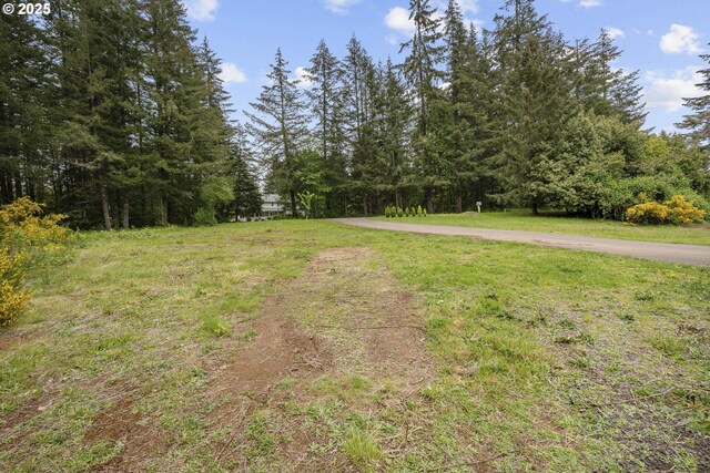 39665 SE Rude Rd, Sandy, OR 97055 - view of yard with a forest view
