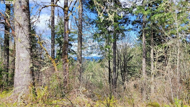 Bolton Hill Rd N, Veneta, OR 97487