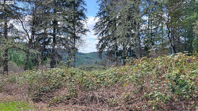 Bolton Hill Rd N, Veneta, OR 97487
