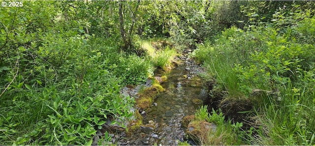 0 Waters Creek Rd, Wilderville, OR 97543