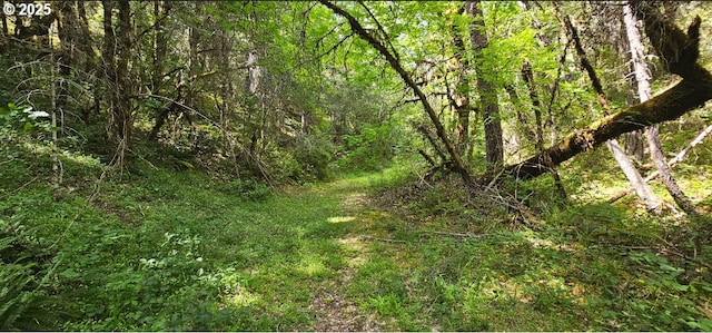 0 Waters Creek Rd, Wilderville, OR 97543