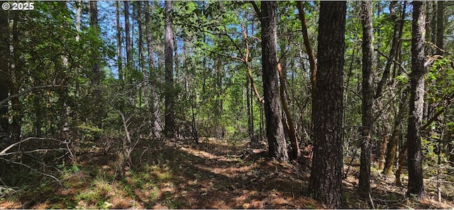 0 Waters Creek Rd, Wilderville, OR 97543