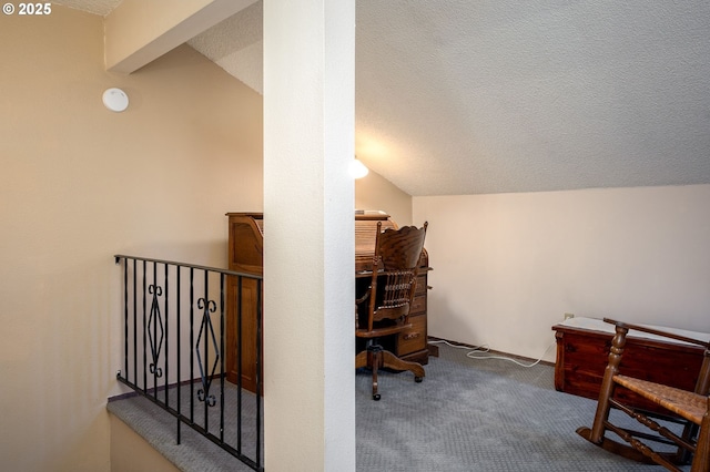 interior space featuring vaulted ceiling and a textured ceiling