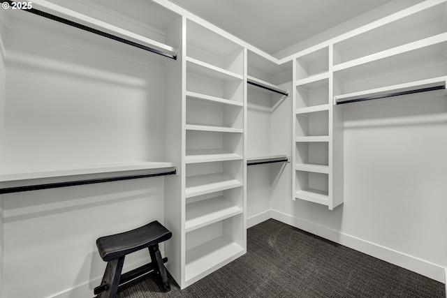3800 W 2nd St, Washougal, WA 98671 - spacious closet featuring dark colored carpet