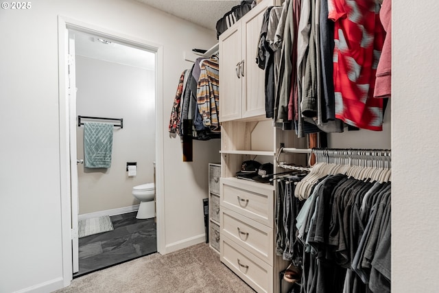 6745 SW Scholls Ferry Rd Unit 10, Beaverton, OR 97008 - view of walk in closet
