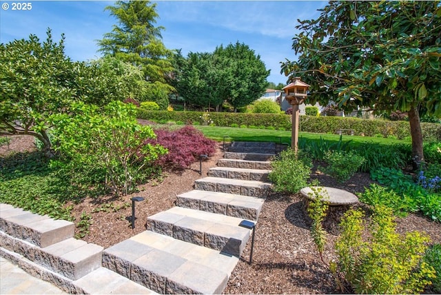 view of yard featuring stairs